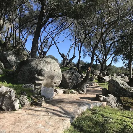 Сasa de vacaciones Sweet *